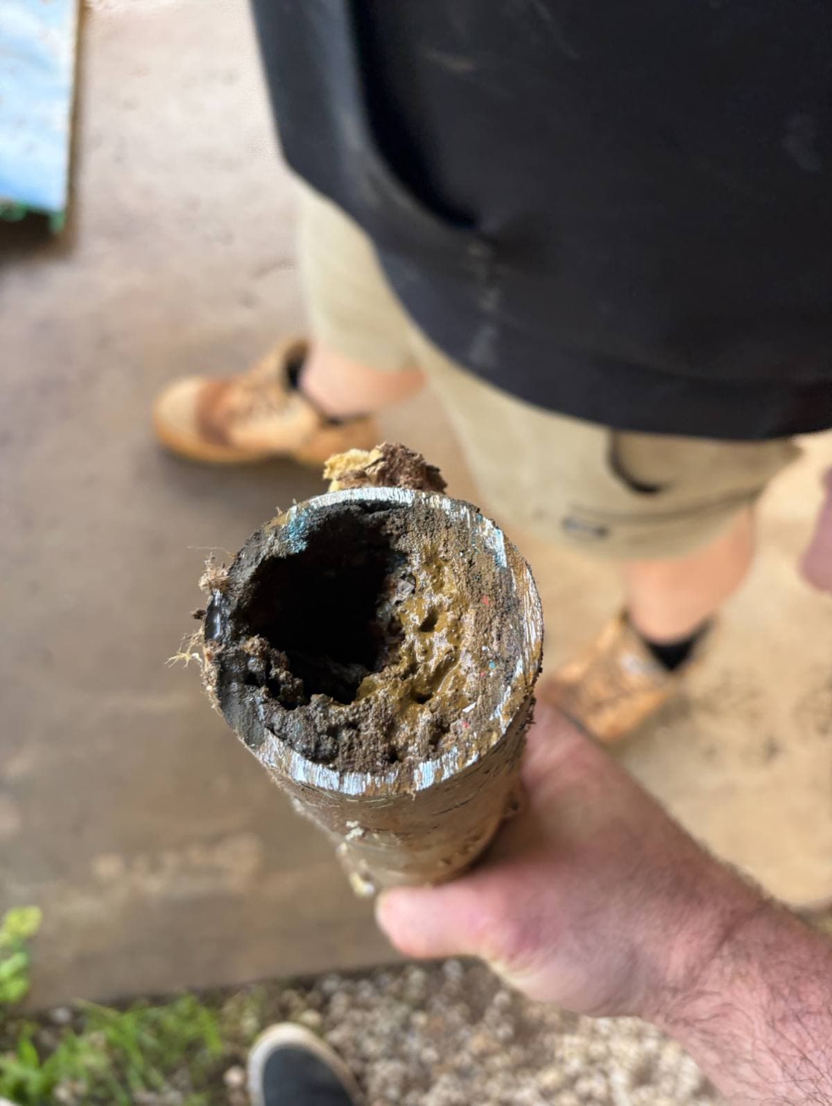 Blocked drain cleared in northern Adelaide showing tree root damage