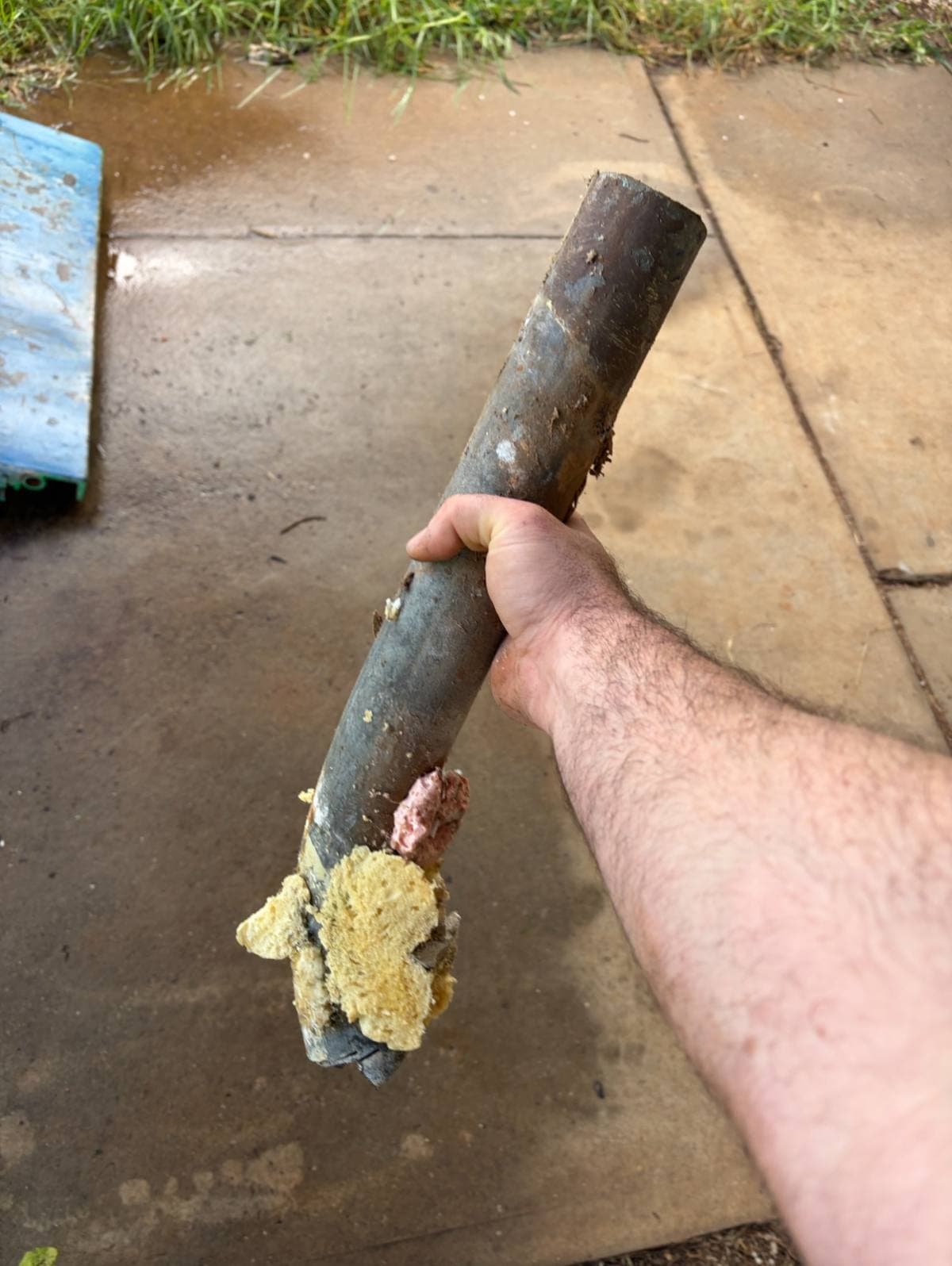 Blocked drain section removed from a northern Adelaide property